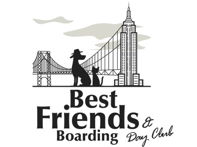 Best Friends Boarding Manhattan